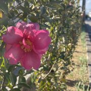 名前、間違われてましたね!?