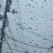 相棒達の崩壊…