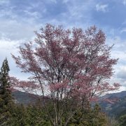 仕事終わりに故郷へ…